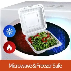 Lancheiras ecológicas descartáveis