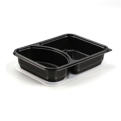 Caixas de Bento para viagem com 2 compartimentos