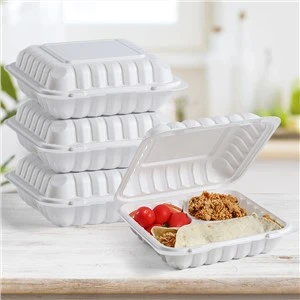 Recipiente de comida para viagem de plástico 9''x9''