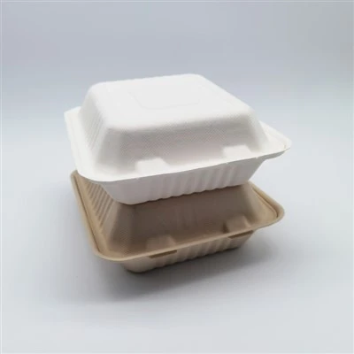Recipiente biodegradável para viagem de papel de celulose de fibra de bagaço de cana-de-açúcar