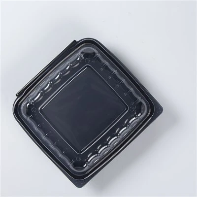 Recipiente de comida para viagem personalizado