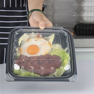 Armazenamento de alimentos em recipientes Deli