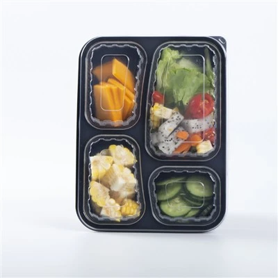 Caixas Bento descartáveis ​​com tampa