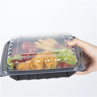 Recipientes descartáveis ​​para embalagens de alimentos