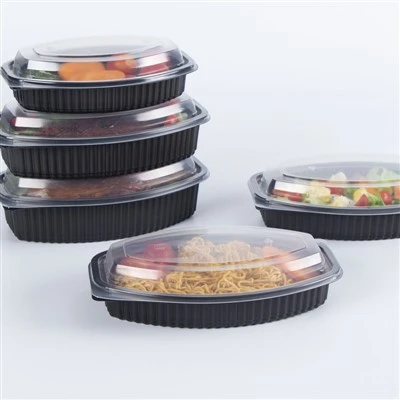 Newest Disposable Bento Lunch Boxes