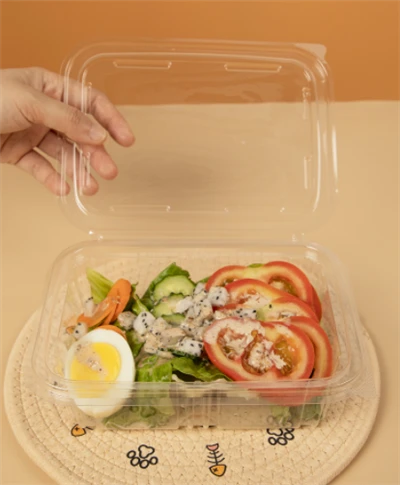 Plastic Salad Bowls Retangular