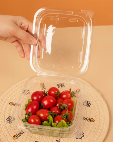 Plastic Salad Bowls Square