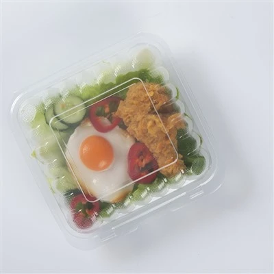 Lancheira Bento para comida descartável