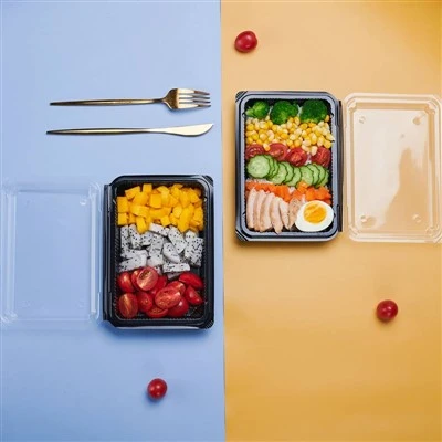 Recipiente de comida para viagem para sushi