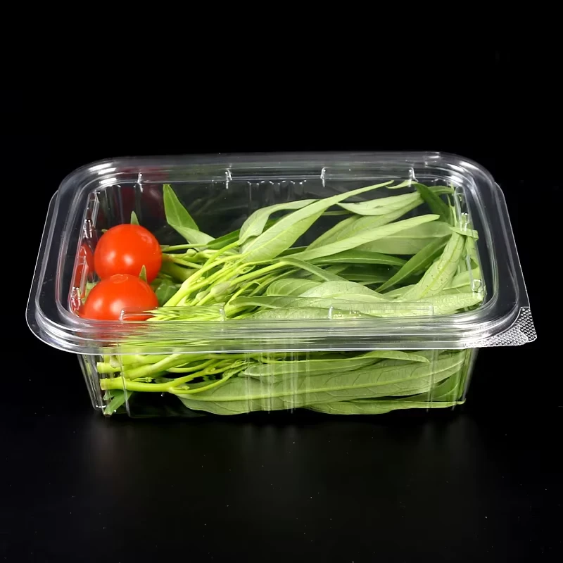 clear hinged take out container