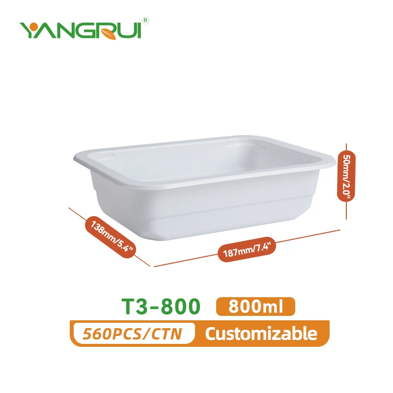 T3-800
