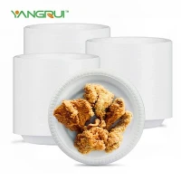 Reusable Plastic Plates Reusable Plastic Plates